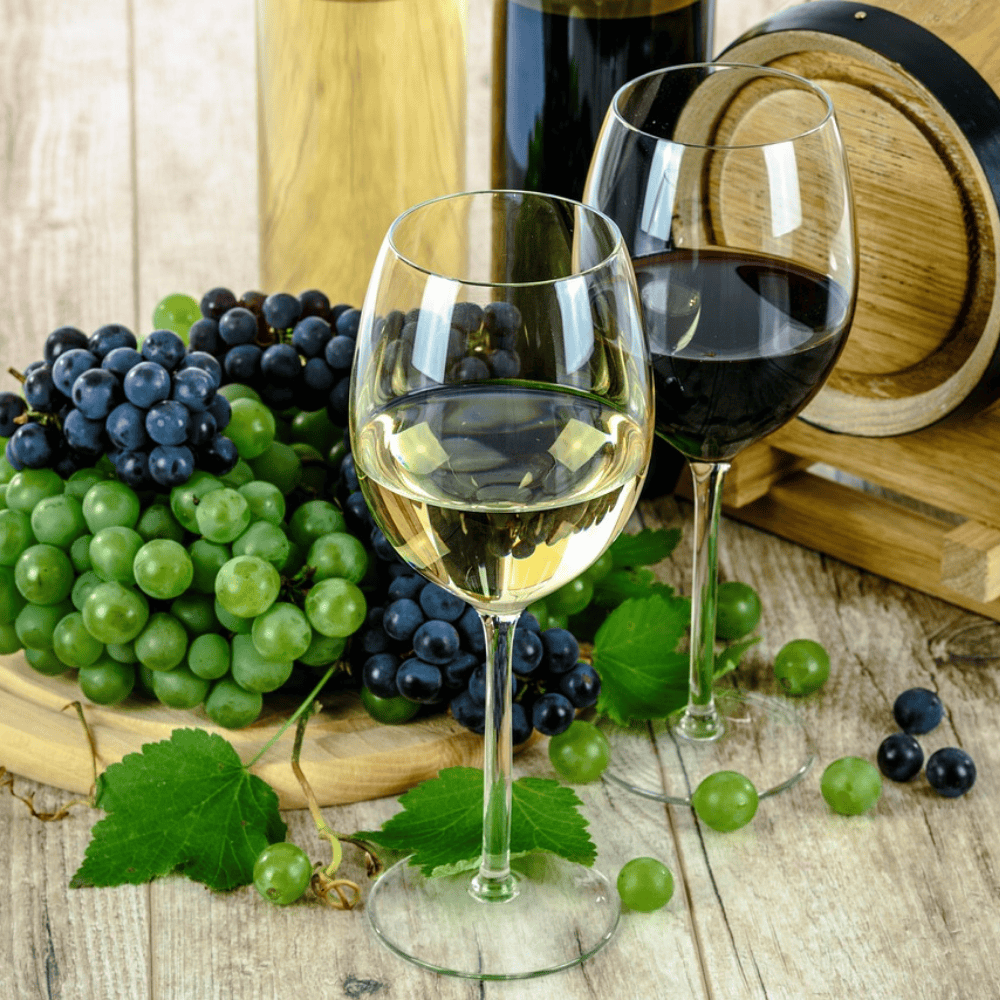 Wine Tours (1)